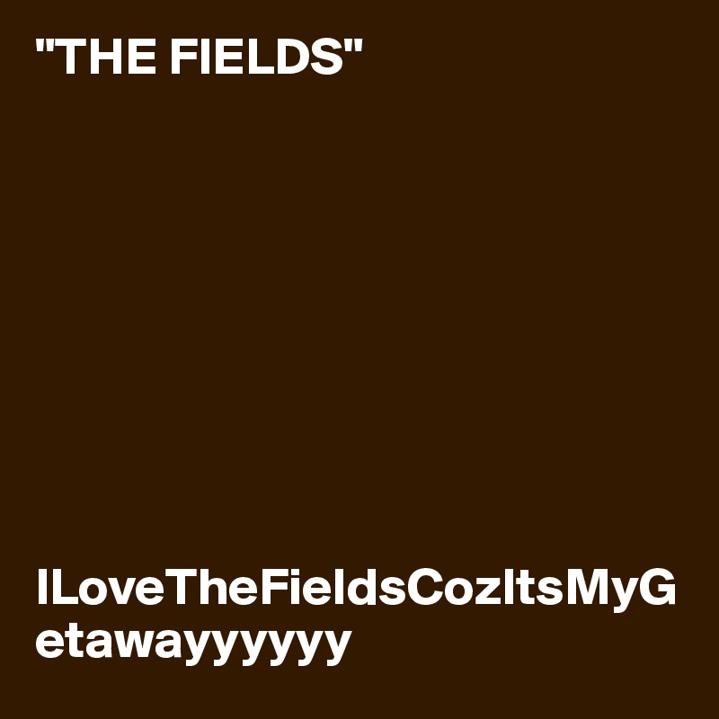 "THE FIELDS"









ILoveTheFieldsCozItsMyGetawayyyyyy