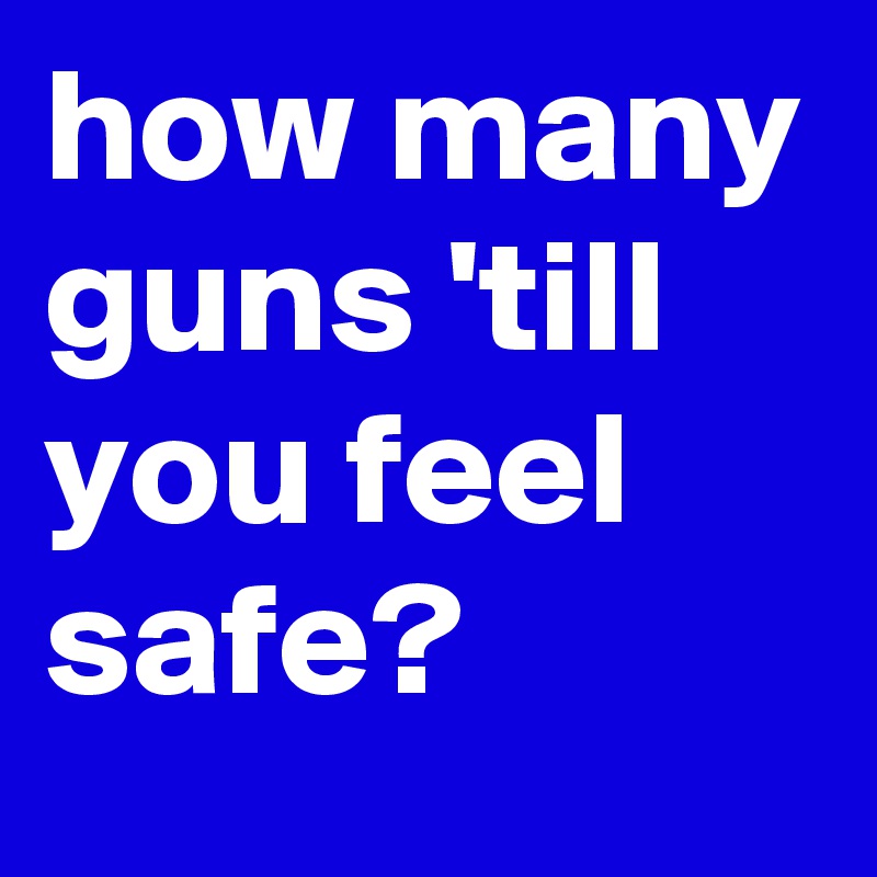 how many guns 'till you feel safe?