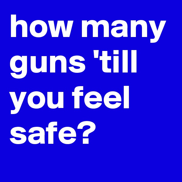 how many guns 'till you feel safe?