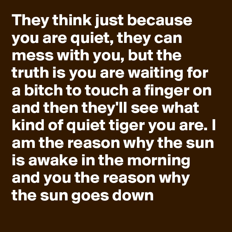 They think just because you are quiet, they can mess with you, but the truth is you are waiting for a bitch to touch a finger on and then they'll see what kind of quiet tiger you are. I am the reason why the sun is awake in the morning and you the reason why the sun goes down