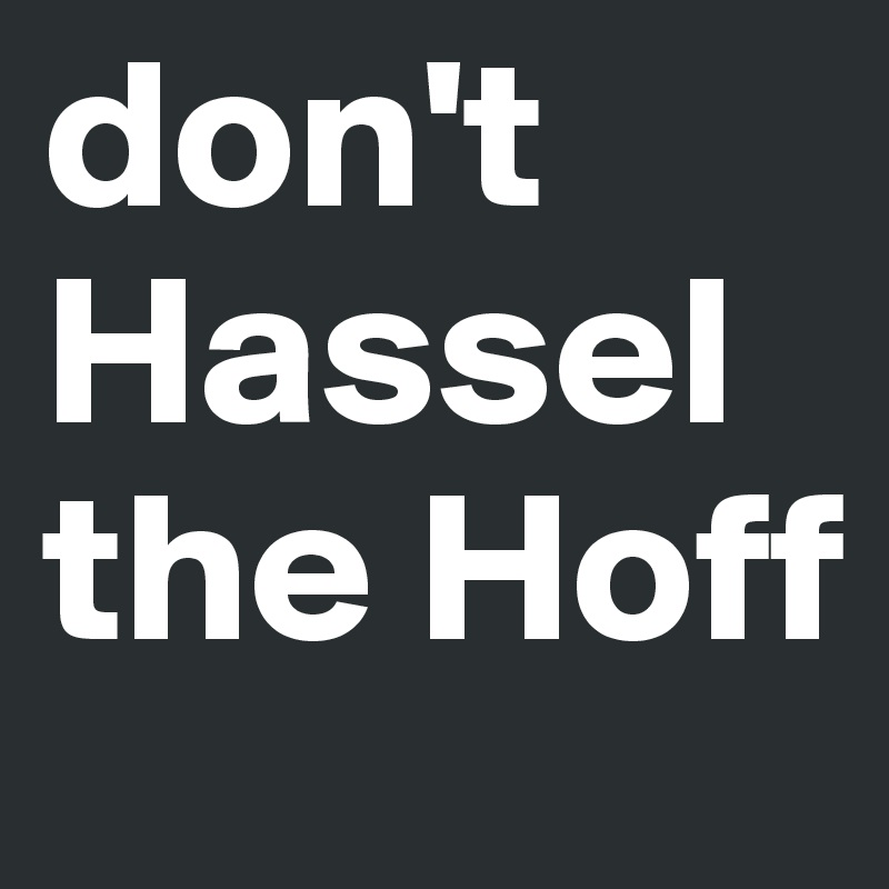 don't Hassel the Hoff