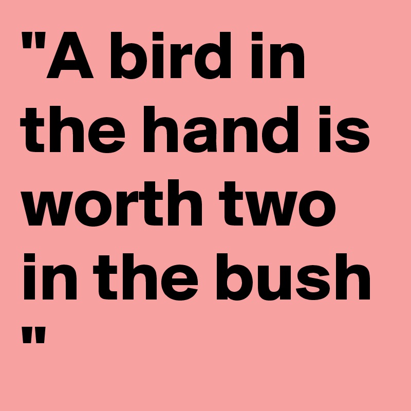 "A bird in the hand is worth two in the bush "