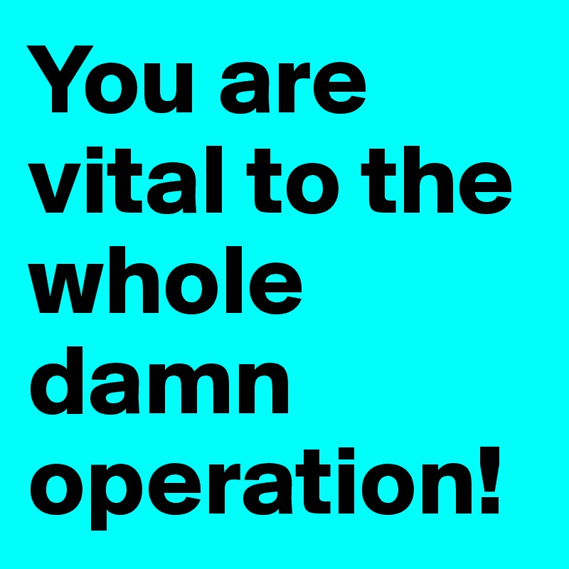 You are vital to the whole damn operation!