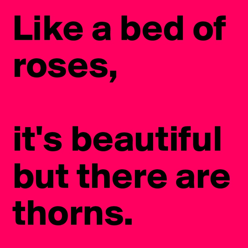 Like a bed of roses, 

it's beautiful but there are thorns.