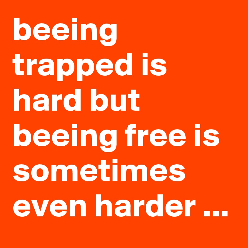 beeing trapped is hard but beeing free is sometimes even harder ...