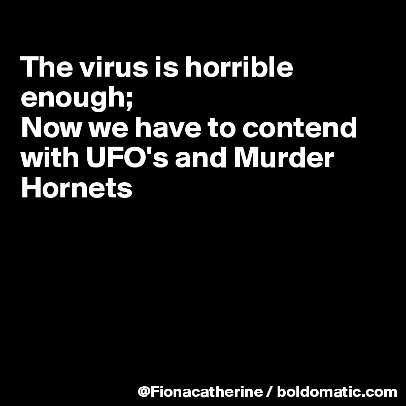 
The virus is horrible
enough; 
Now we have to contend
with UFO's and Murder
Hornets





