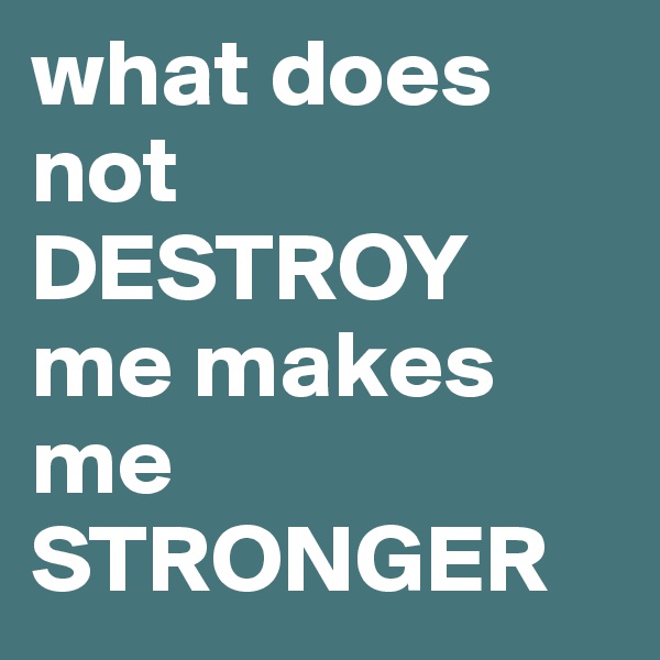 what does not DESTROY  me makes me STRONGER 