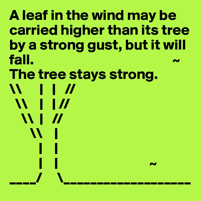 A leaf in the wind may be carried higher than its tree by a strong gust, but it will fall.                                               ~
The tree stays strong.
\\      |   |   //
  \\    |   | //
    \\  |   // 
       \\    |   
          |    |              
          |    |                               ~
____/     \___________________