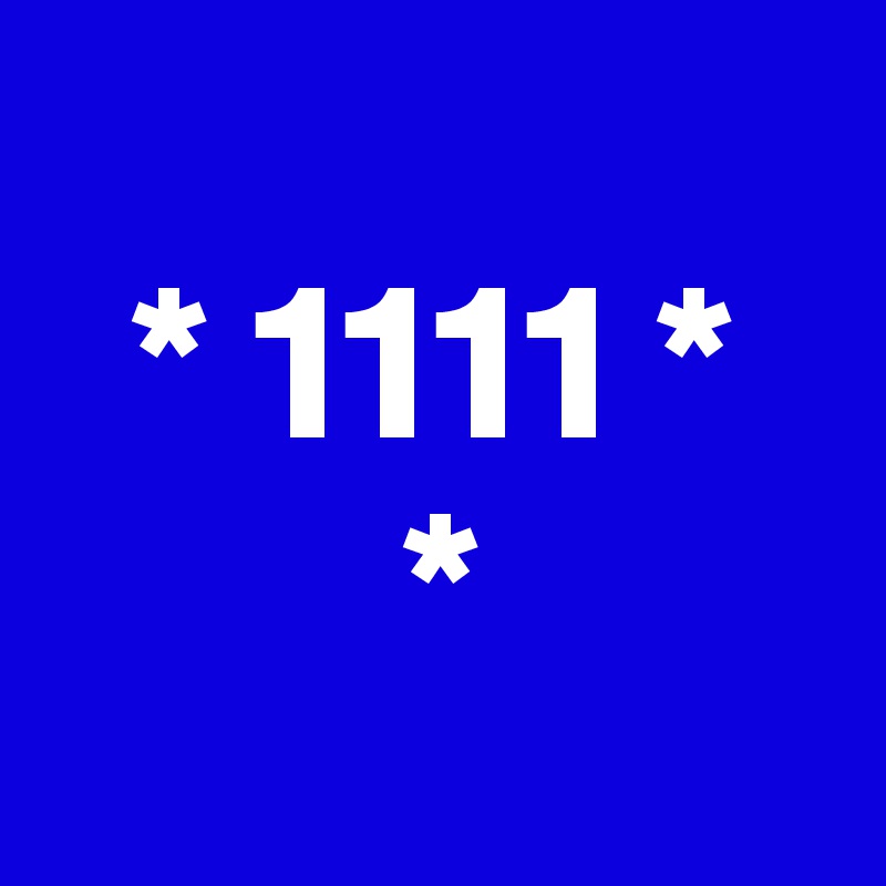    
  * 1111 *
        *