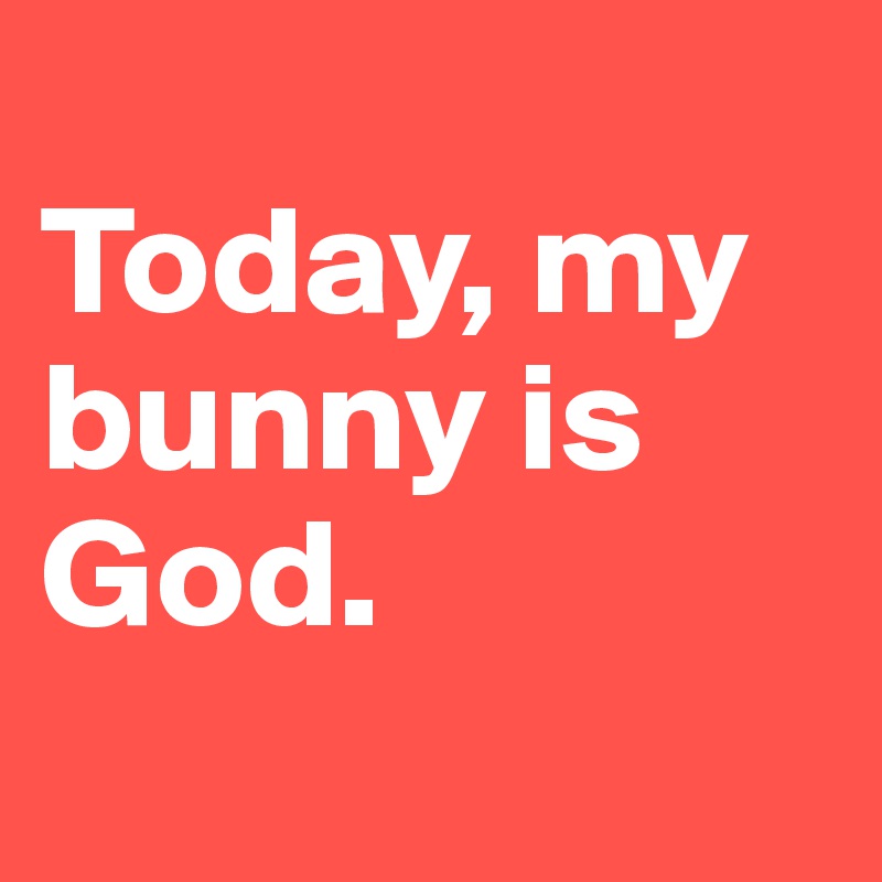 
Today, my bunny is God.
