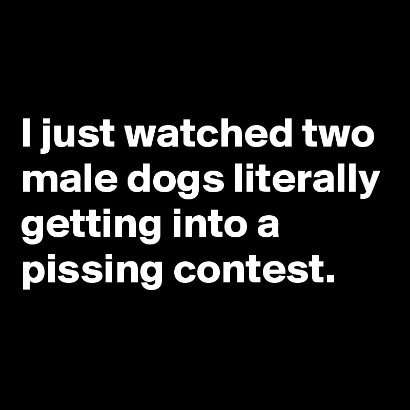 

I just watched two male dogs literally getting into a pissing contest.

