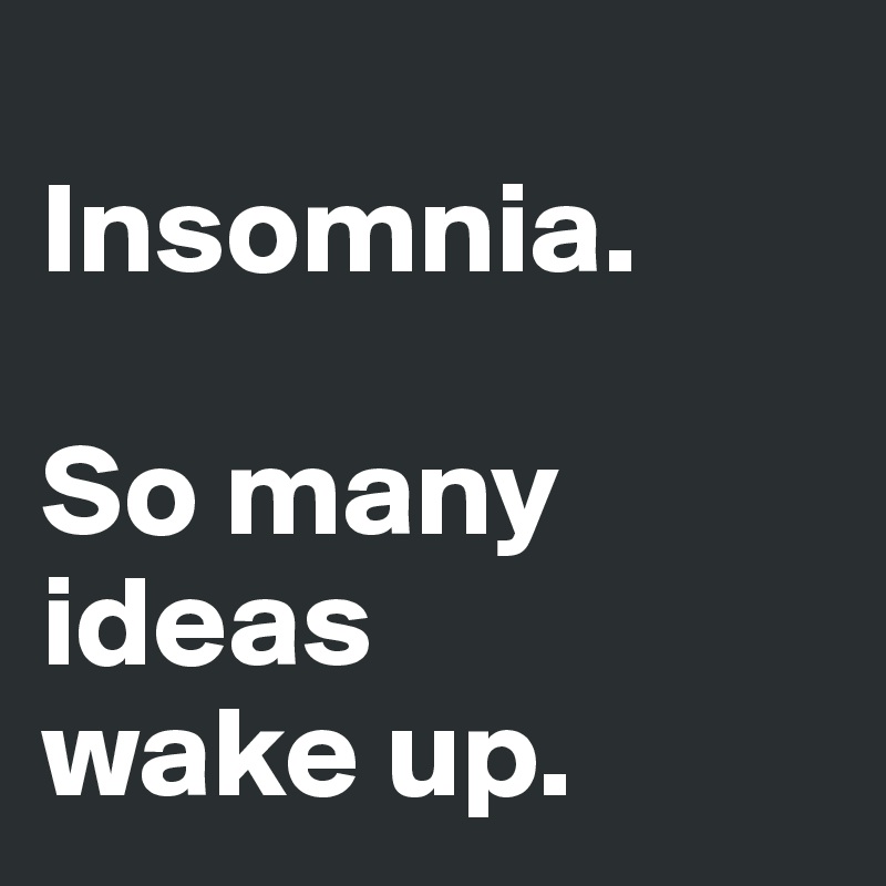 
Insomnia.

So many ideas 
wake up.