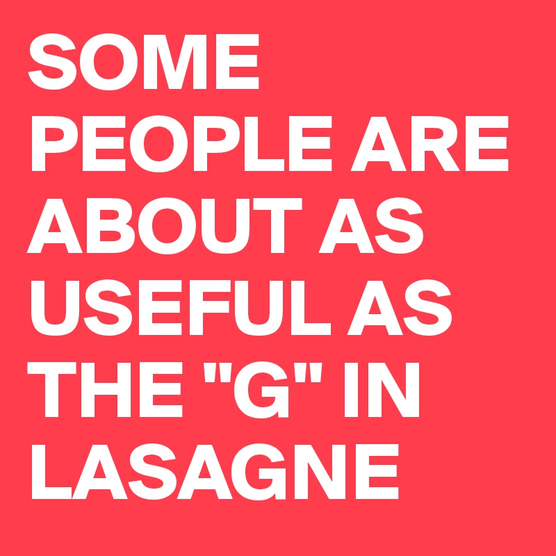 SOME PEOPLE ARE ABOUT AS USEFUL AS THE "G" IN LASAGNE
