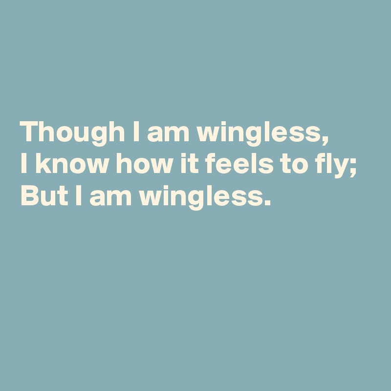 


Though I am wingless,
I know how it feels to fly;
But I am wingless.



