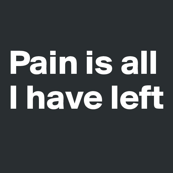 
Pain is all I have left
