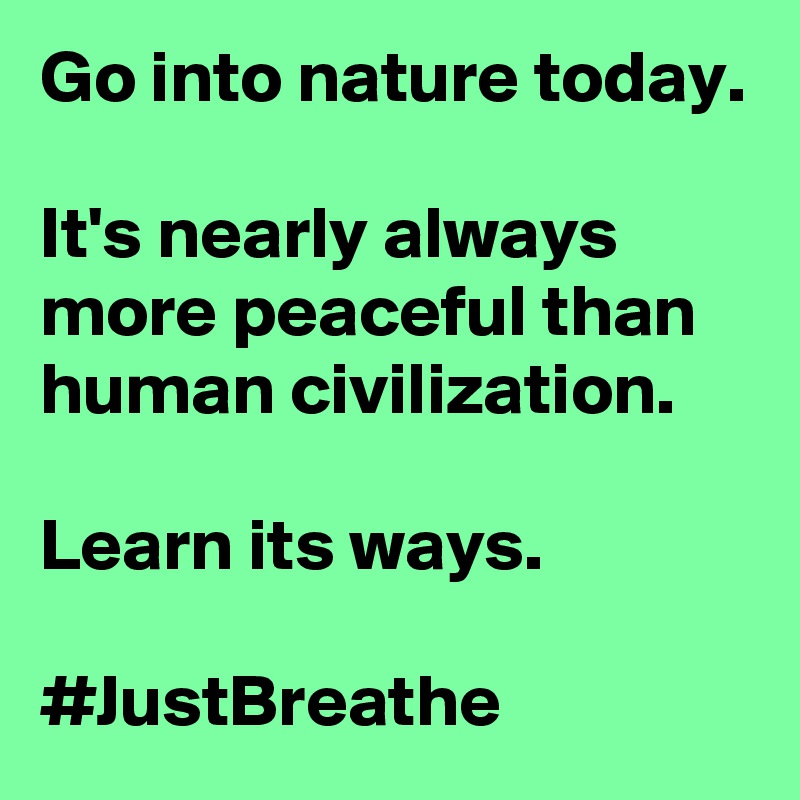 Go into nature today.

It's nearly always more peaceful than human civilization.

Learn its ways.

#JustBreathe