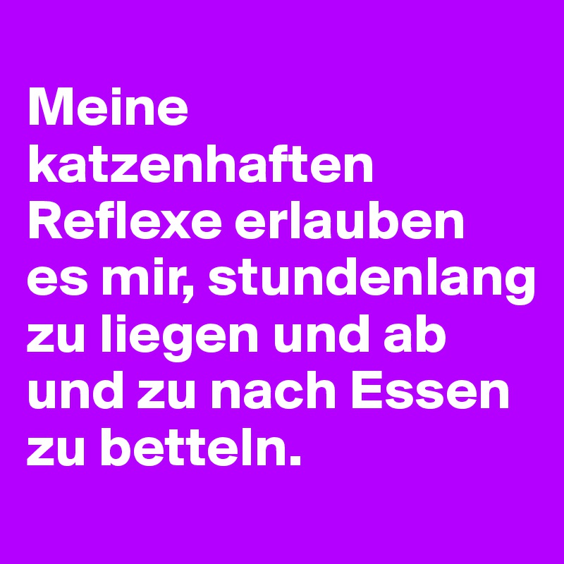 
Meine katzenhaften Reflexe erlauben es mir, stundenlang zu liegen und ab und zu nach Essen zu betteln.