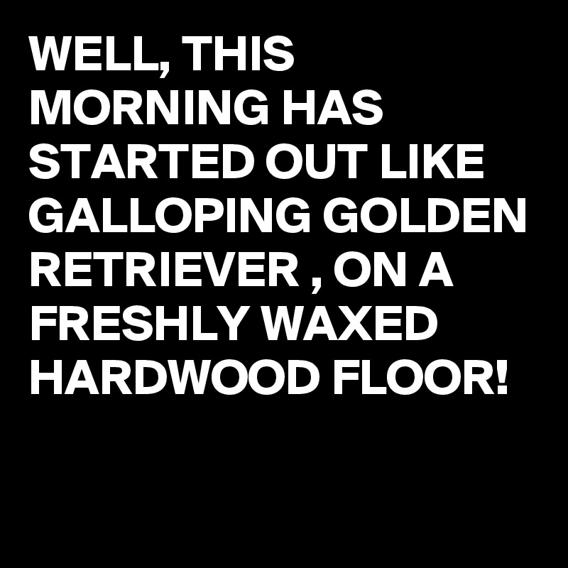 WELL, THIS MORNING HAS STARTED OUT LIKE GALLOPING GOLDEN RETRIEVER , ON A FRESHLY WAXED HARDWOOD FLOOR! 

