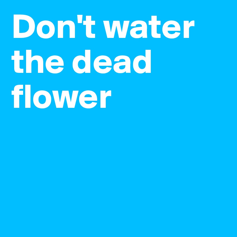 Don't water the dead flower


