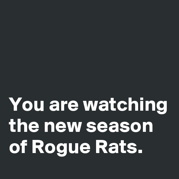 



You are watching the new season of Rogue Rats. 