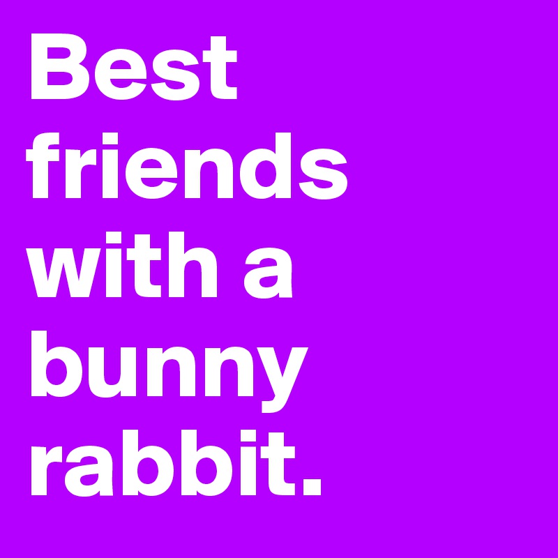 Best friends with a bunny rabbit. 
