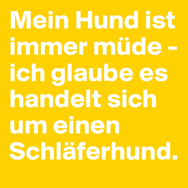 Mein Hund ist immer müde - ich glaube es handelt sich um einen Schläferhund.