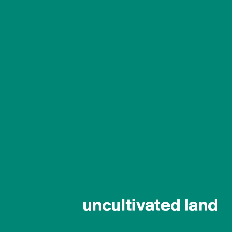 










                     uncultivated land