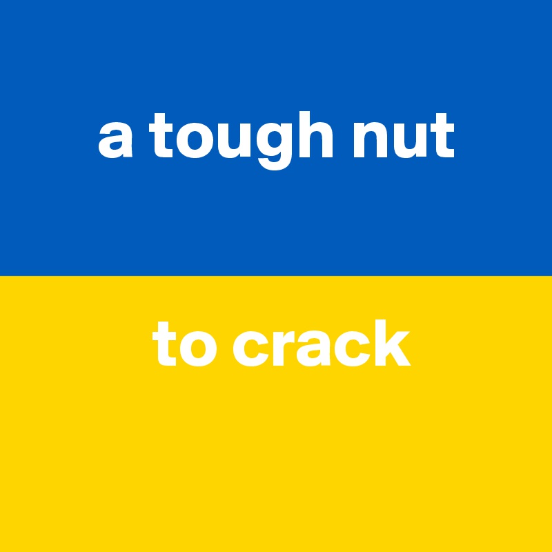 A Tough Nut To Crack - Post By JMBis On Boldomatic