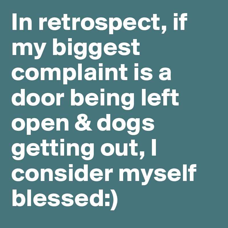 In retrospect, if my biggest complaint is a door being left open & dogs getting out, I consider myself blessed:)