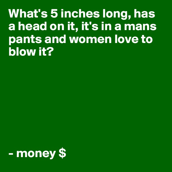What's 5 inches long, has a head on it, it's in a mans pants and women love to blow it?







- money $