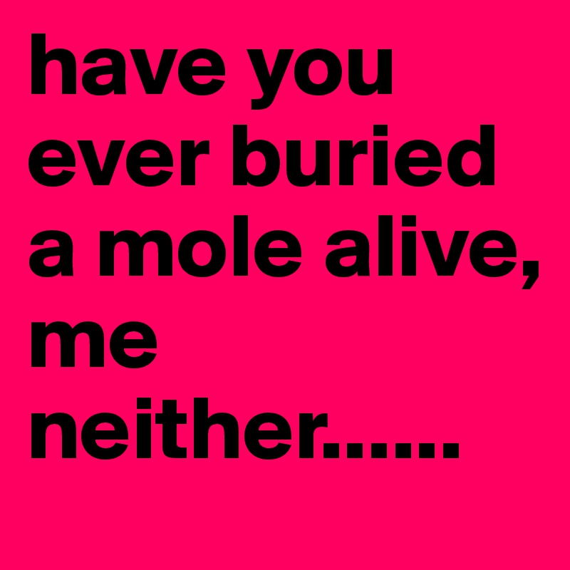 have you ever buried a mole alive,
me neither......