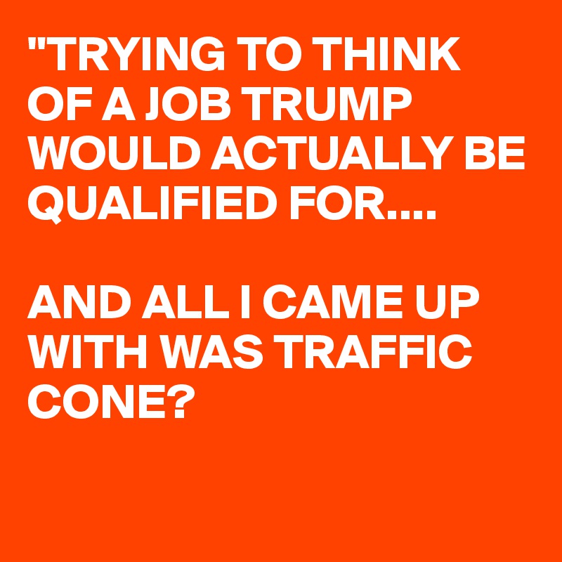 "TRYING TO THINK OF A JOB TRUMP WOULD ACTUALLY BE QUALIFIED FOR....

AND ALL I CAME UP WITH WAS TRAFFIC CONE?

