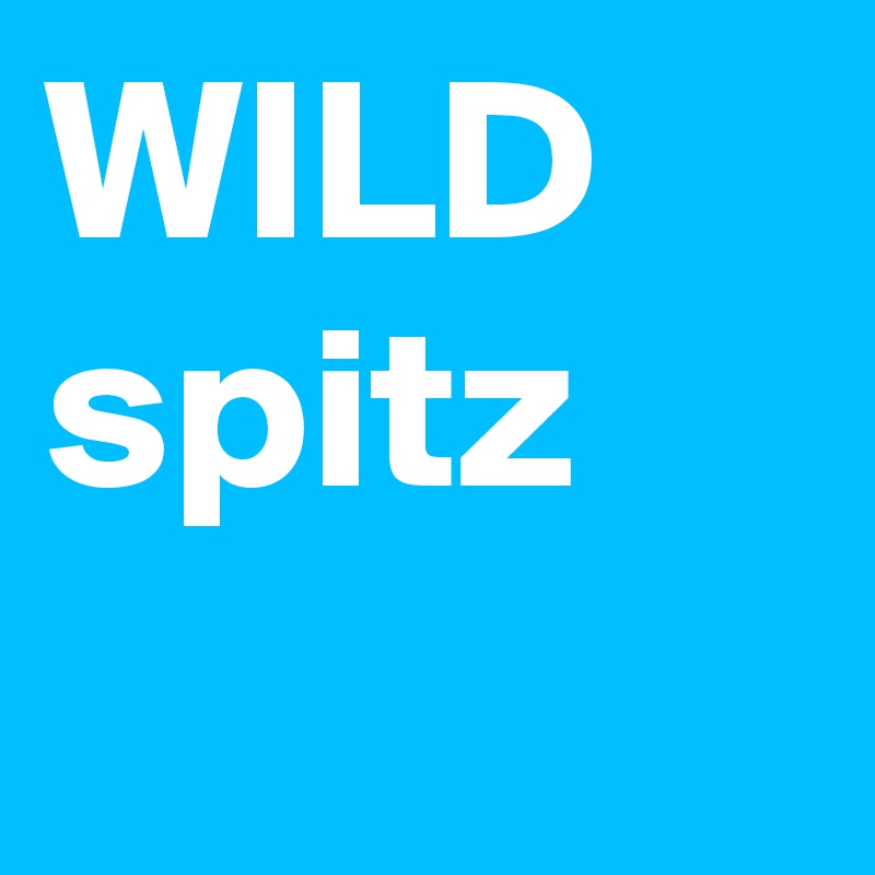 WILD
spitz