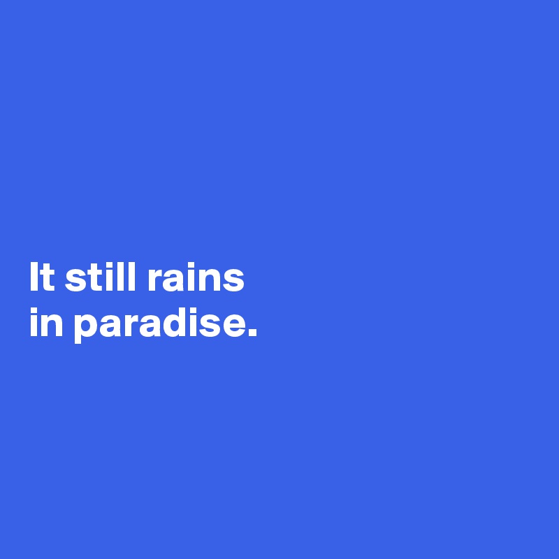 




It still rains 
in paradise. 



