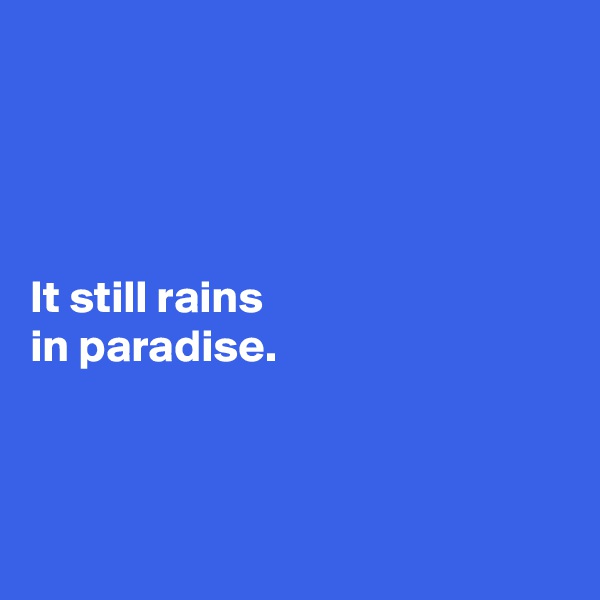




It still rains 
in paradise. 



