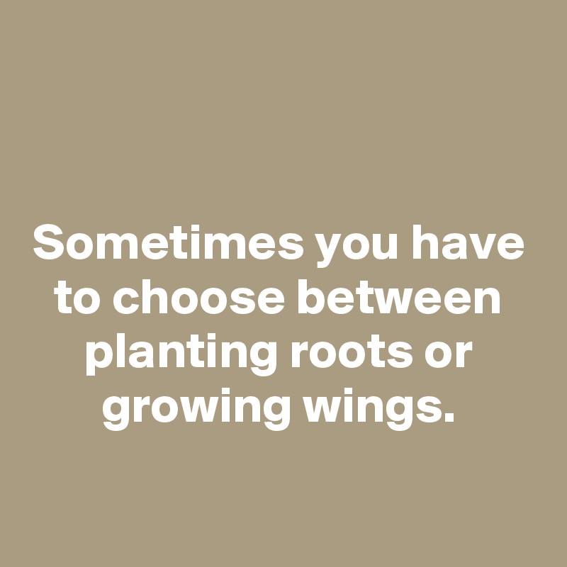 


Sometimes you have to choose between planting roots or growing wings.

