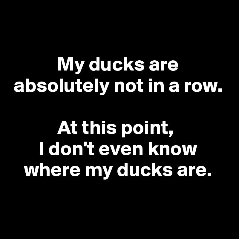 My ducks are absolutely not in a row. At this point, I don't even know ...