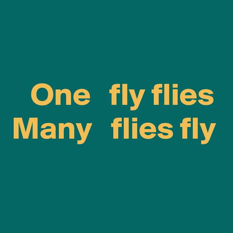 

   One   fly flies
Many   flies fly

