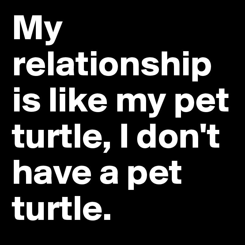 My relationship is like my pet turtle, I don't have a pet turtle.