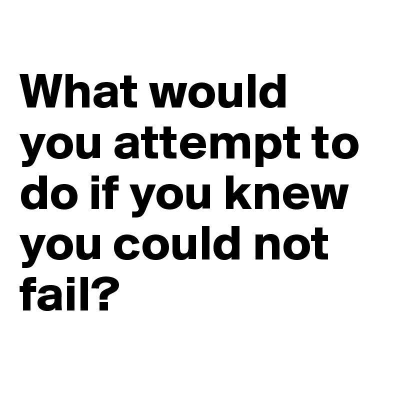 
What would you attempt to do if you knew you could not fail?

