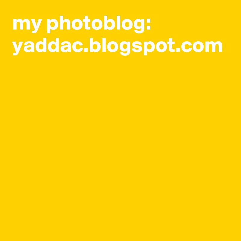 my photoblog: yaddac.blogspot.com