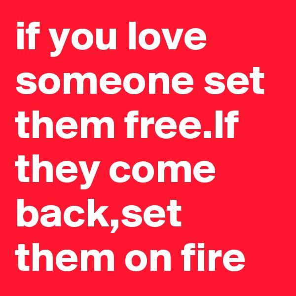 if you love someone set them free.If they come back,set them on fire