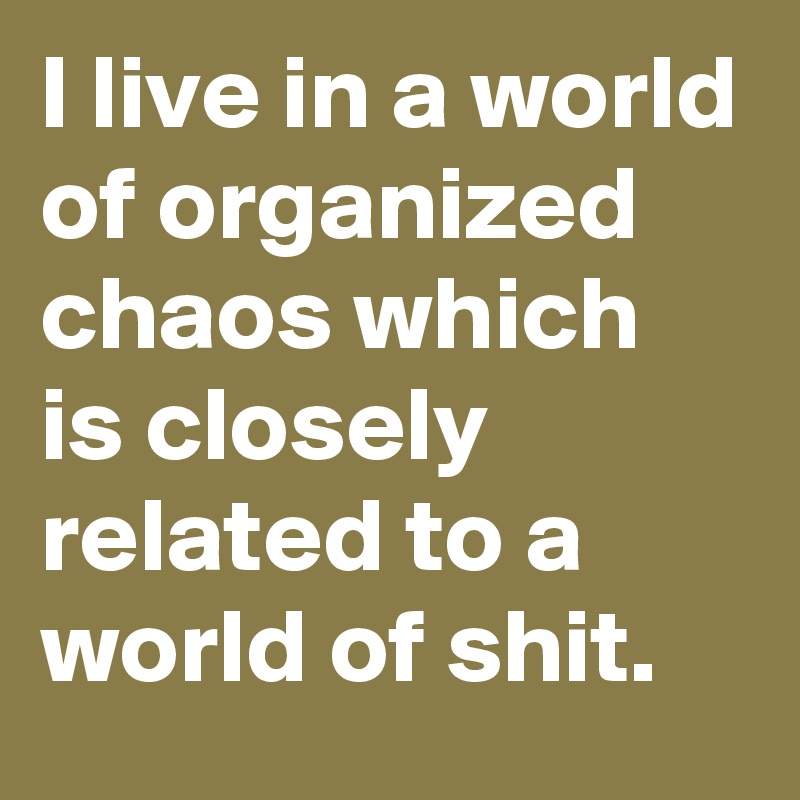 I live in a world of organized chaos which is closely related to a world of shit.