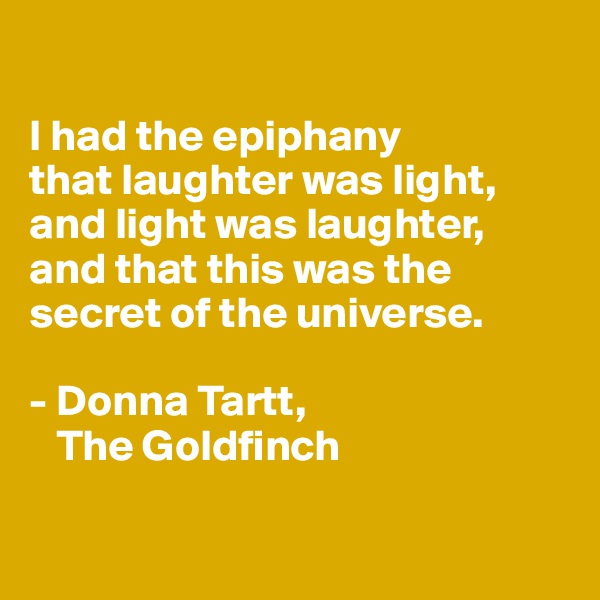 

I had the epiphany 
that laughter was light, and light was laughter, 
and that this was the secret of the universe.

- Donna Tartt, 
   The Goldfinch

