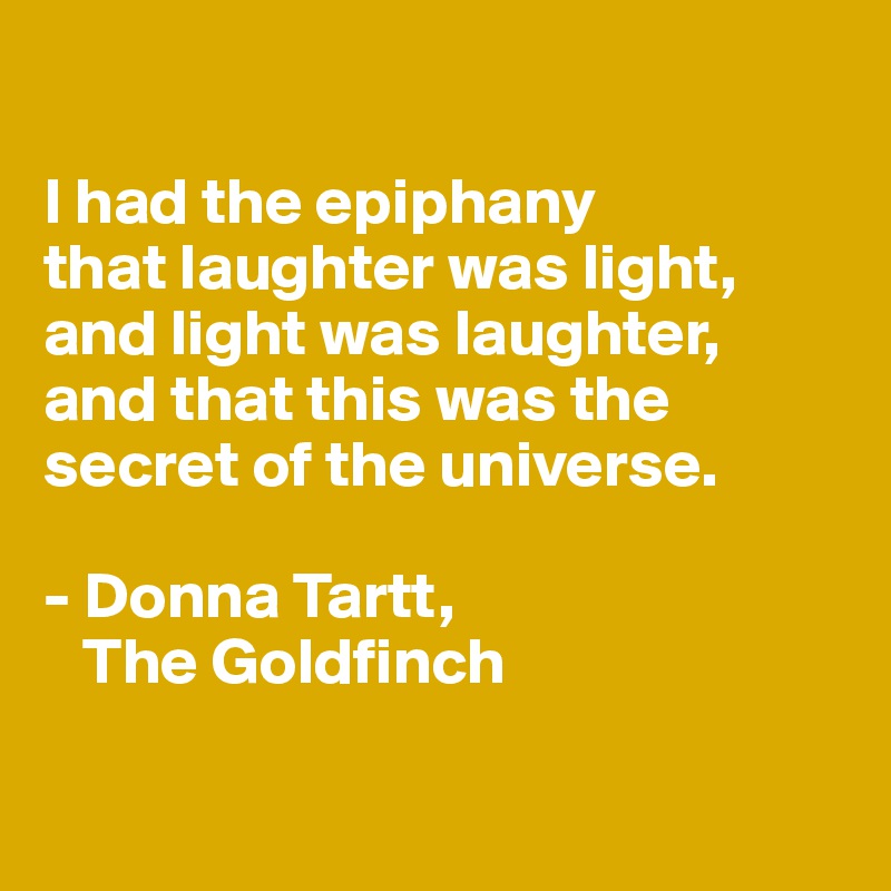 

I had the epiphany 
that laughter was light, and light was laughter, 
and that this was the secret of the universe.

- Donna Tartt, 
   The Goldfinch

