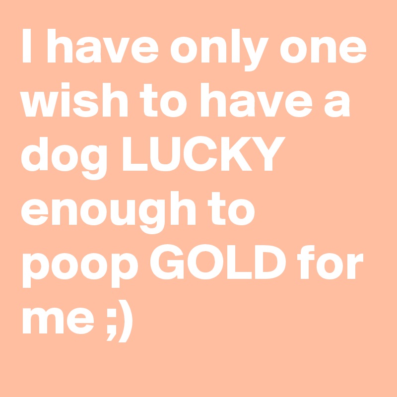 I have only one wish to have a dog LUCKY enough to poop GOLD for me ;)