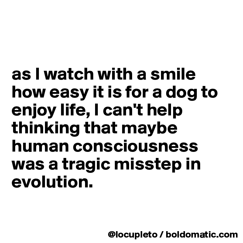 


as I watch with a smile how easy it is for a dog to enjoy life, I can't help thinking that maybe human consciousness was a tragic misstep in evolution.

