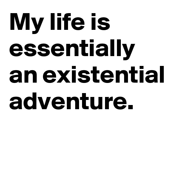 My life is essentially an existential adventure.
