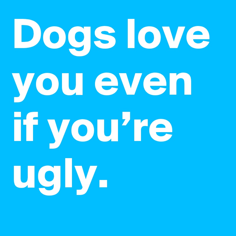 Dogs love you even if you’re ugly.