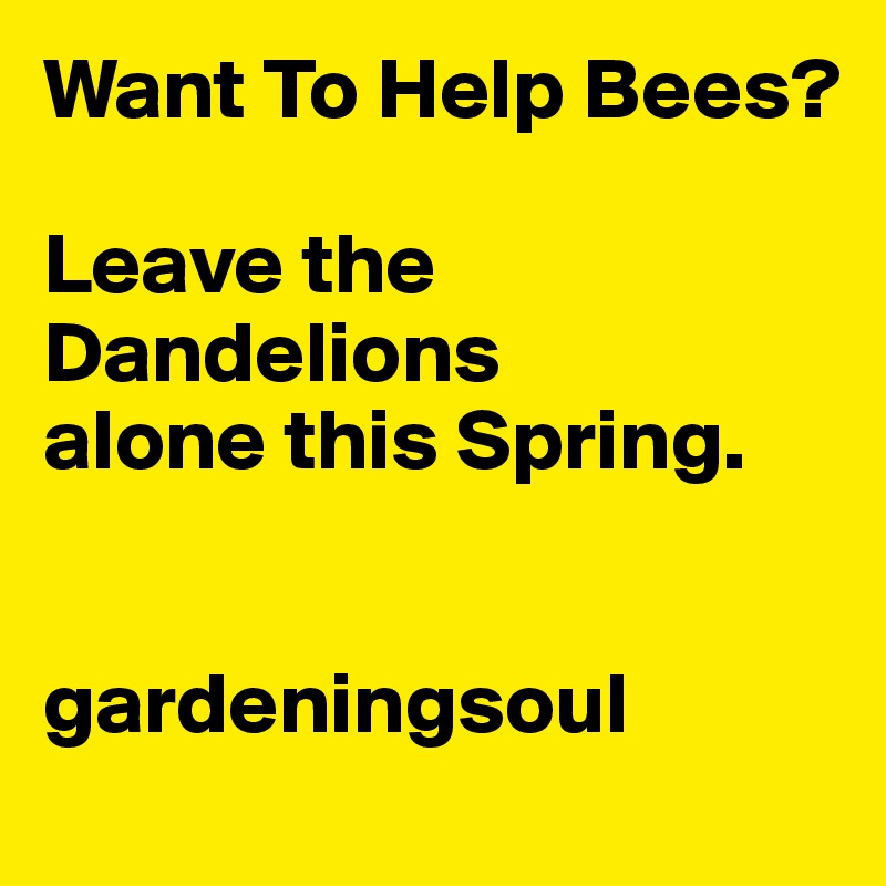 Want To Help Bees?

Leave the Dandelions
alone this Spring. 


gardeningsoul